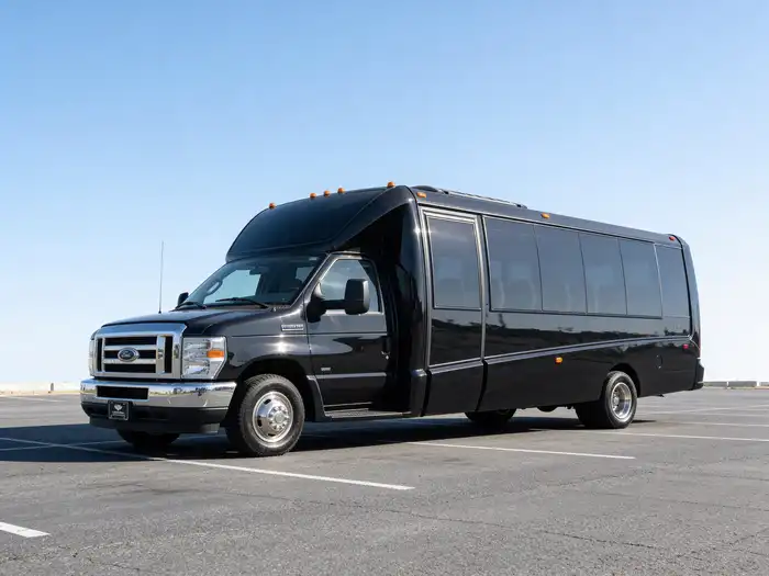 15-Passenger Party Bus