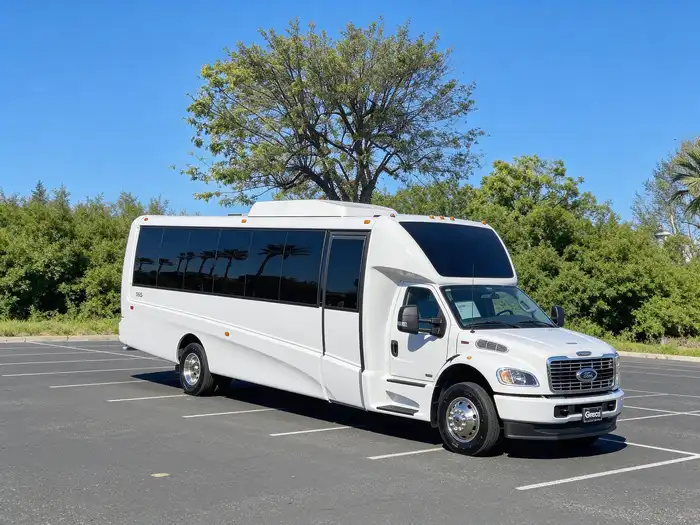 20-Passenger Party Bus