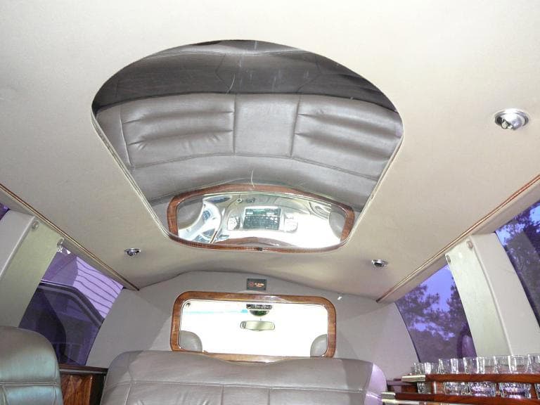 20-Passenger Stretch Limo