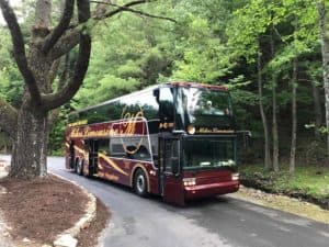 10-Passenger Stretch Limousine