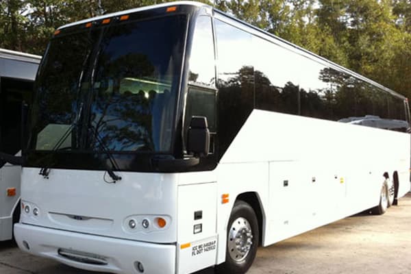 10-Passenger Stretch Limousine