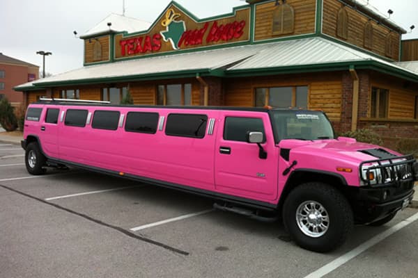Blue 14-Passenger SUV Limousine