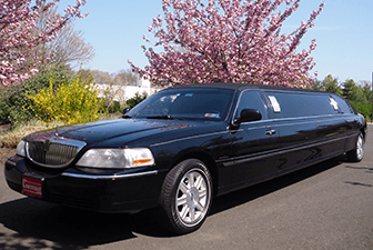 Black 2-4 Passenger Sedan