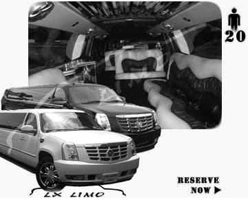 White 10-Passenger Stretch Limo