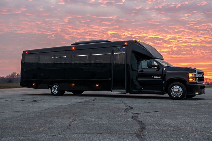 Mini Coach Black1