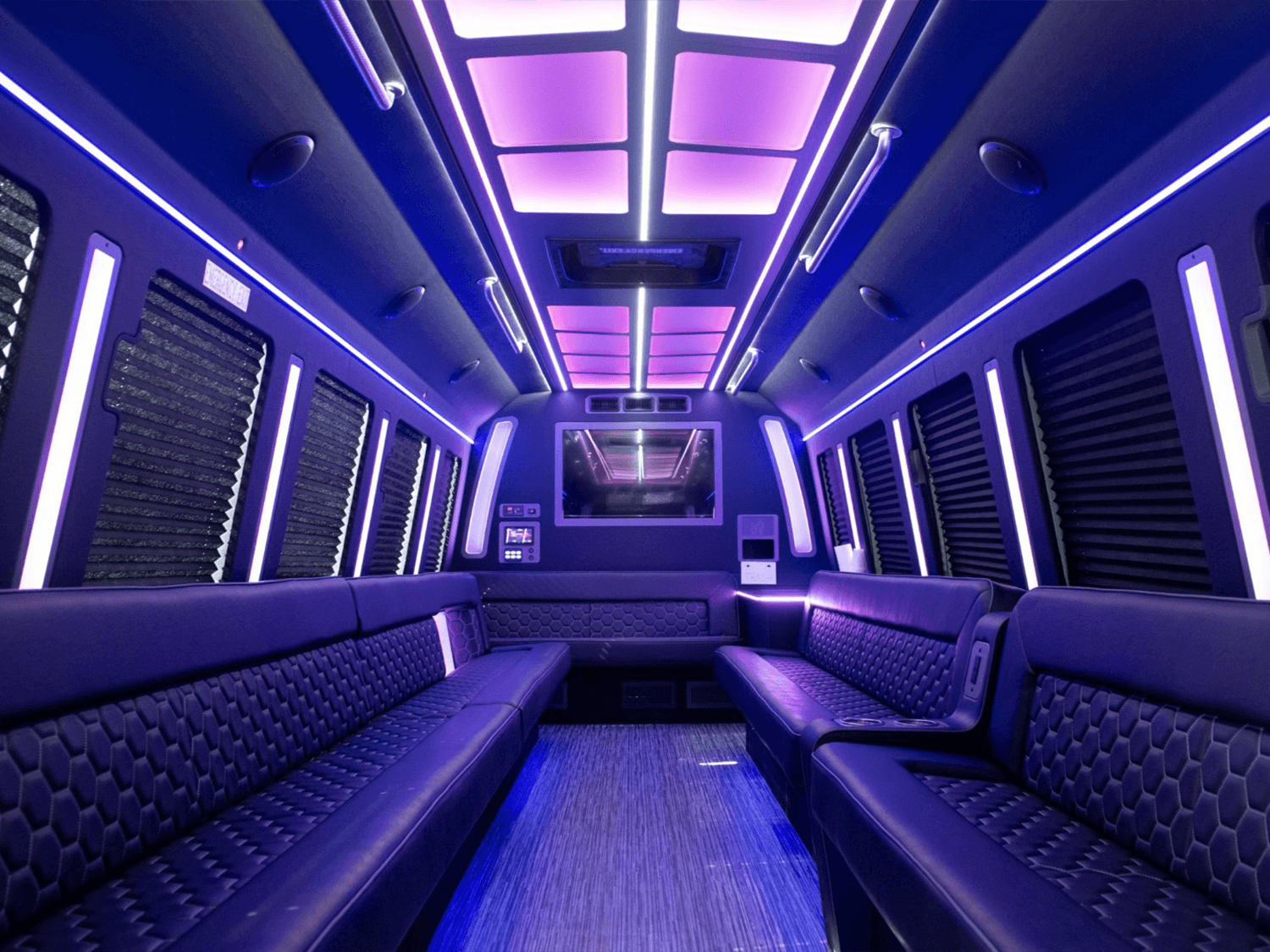30-Passenger Party Bus