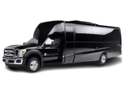 Black 3-Passenger Executive Sedan
