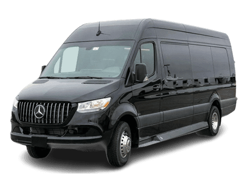 12-Passenger Sprinter Van