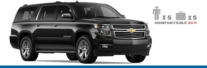 10-Passenger Stretch Limo