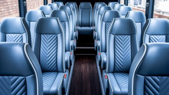 15-Passenger Sprinter Limo