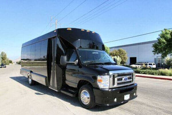 10-20 Passenger Party Bus