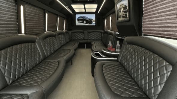 20-Passenger Party Bus