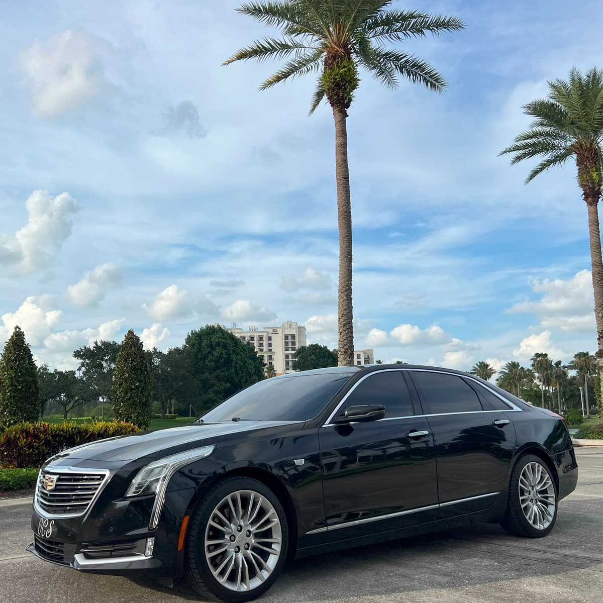 10-Passenger Stretch Limousine